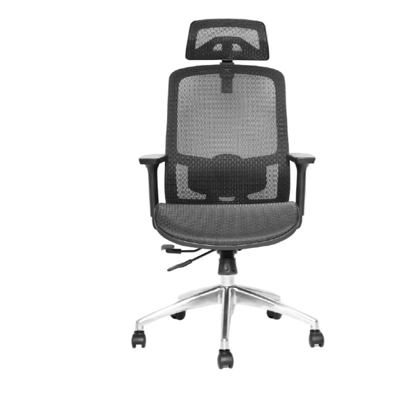 Ergonomic Essentials for Qatar