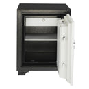 Godrej Fire Resistant Electronic Locker with Override Key (FR720-EL+KL)