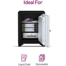 Godrej Fire Resistant Electronic Locker with Override Key (FR560-EL+KL)