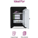 Godrej Fire Resistant 2 Key Locker (FR560-2KL)