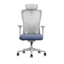 Modern Furniture Ergo Human Chair SK5-GH-2