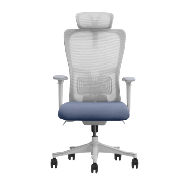 Modern Furniture Ergo Human Chair SK5-GH-2
