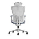 Modern Furniture Ergo Human Chair SK5-GH-2