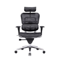 Modern Furniture Ergo Human Chair EHS-HAM