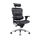Modern Furniture Ergo Human Chair EHS-HAM