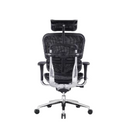 Modern Furniture Ergo Human Chair EHS-HAM