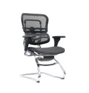 Modern Furniture Ergo Human Chair EHS-LAM