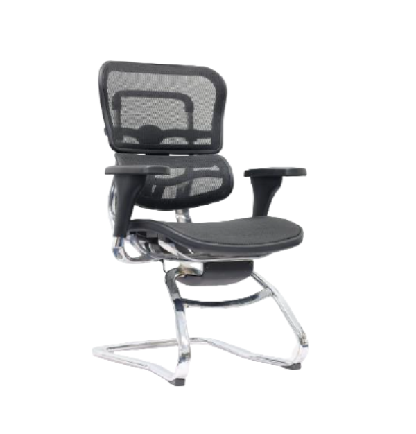 Modern Furniture Ergo Human Chair EHS-LAM
