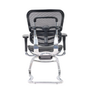 Modern Furniture Ergo Human Chair EHS-LAM