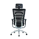 Modern Furniture Ergo Human Medical Chair 802