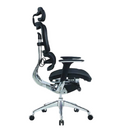 Modern Furniture Ergo Human Medical Chair 802