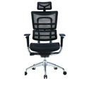 Modern Furniture Ergo Human Medical Chair 802