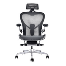 Modern Furniture Ergo Human Chair A66H-1