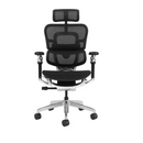 Modern Furniture Ergo Human Chair T9-BH