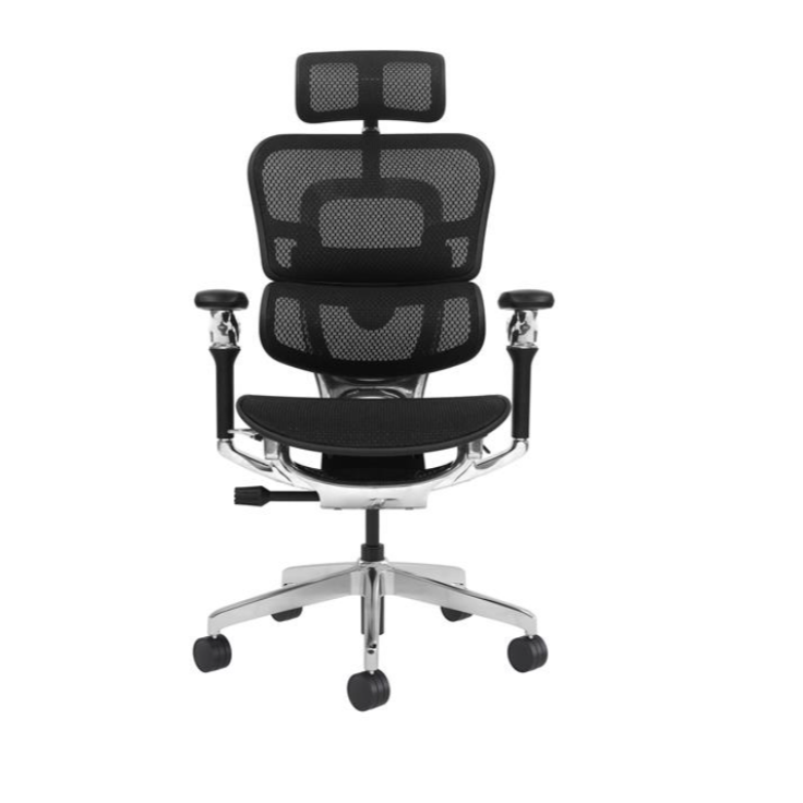Modern Furniture Ergo Human Chair T9-BH