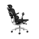 Modern Furniture Ergo Human Chair T9-BH