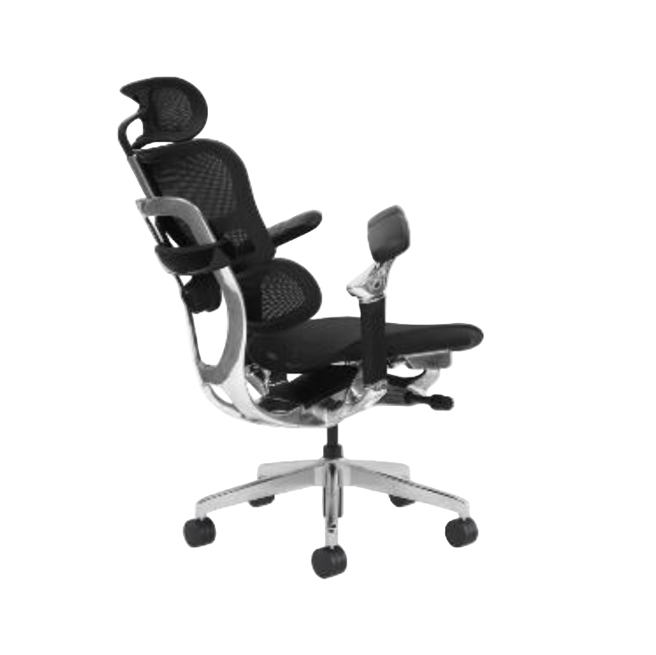 Modern Furniture Ergo Human Chair T9-BH