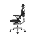 Modern Furniture Ergo Human Chair T9-BH