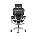 Modern Furniture Ergo Human Chair T9-BH