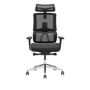 Modern Furniture Ergo Human Chair X6-BH-01
