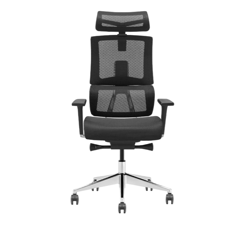 Modern Furniture Ergo Human Chair X6-BH-01