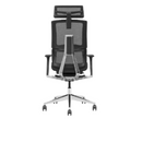 Modern Furniture Ergo Human Chair X6-BH-01