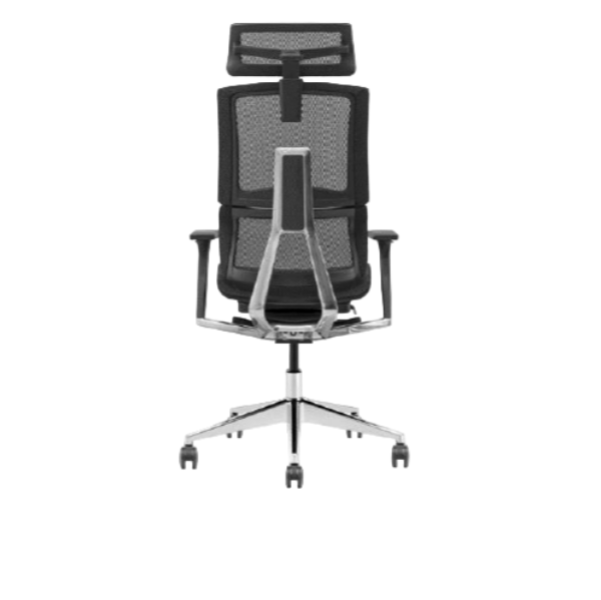 Modern Furniture Ergo Human Chair X6-BH-01