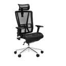 Modern Furniture Ergo Human Chair T-086A-M