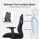 Modern Furniture Ergo Chair MY-2