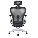 Modern Furniture Ergo Human Chair A66H-1