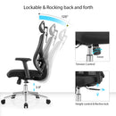 Modern Furniture Ergo Chair MY-3