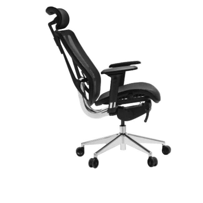 Modern Furniture Ergo Human Chair T-086A-M