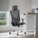 Modern Furniture Ergo Chair MY-3