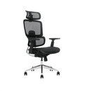 Modern Furniture Ergo Human Chair ST8-BH