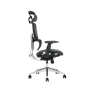 Modern Furniture Ergo Human Chair ST8-BH