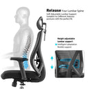 Modern Furniture Ergo Chair MY-3