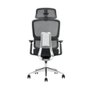 Modern Furniture Ergo Human Chair ST8-BH