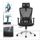Modern Furniture Ergo Chair MY-3