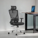 Modern Furniture Ergo Chair MY-3