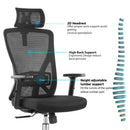 Modern Furniture Ergo Chair MY-3