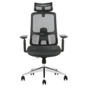 Modern Furniture Ergo Human Chair D-T3-BH