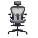 Modern Furniture Ergo Human Chair A66H-2
