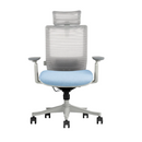 Modern Furniture Ergo Human Chair SM6F-GH