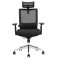 Modern Furniture Ergo Human Chair D-SM6F-BH