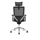 Modern Furniture Ergo Human Chair D-SM6F-BH
