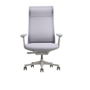 Modern Furniture Ergo Human Chair V5-GH-02