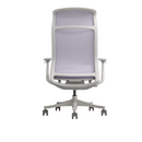 Modern Furniture Ergo Human Chair V5-GH-02
