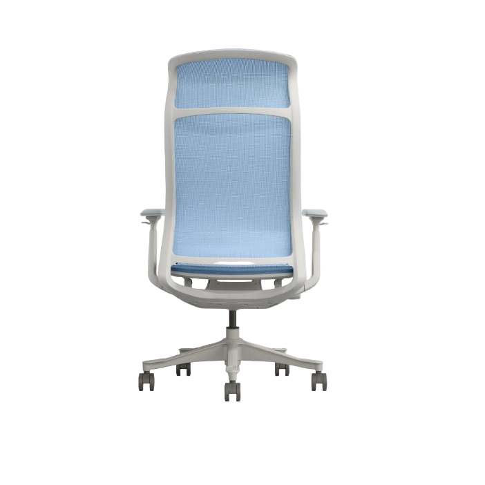 Modern Furniture Ergo Human Chair V5-GH-02
