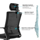 Modern Furniture Ergo Chair MY-6