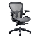 Modern Furniture Ergo Human Chair A66L
